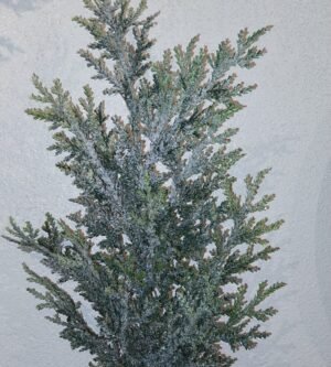 HASTE FOLHAGEM C/ GLITTER 50CM CASA NATALE CF0543