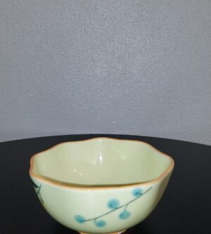 BOWL ESTAMPADO PRACAZA 062240