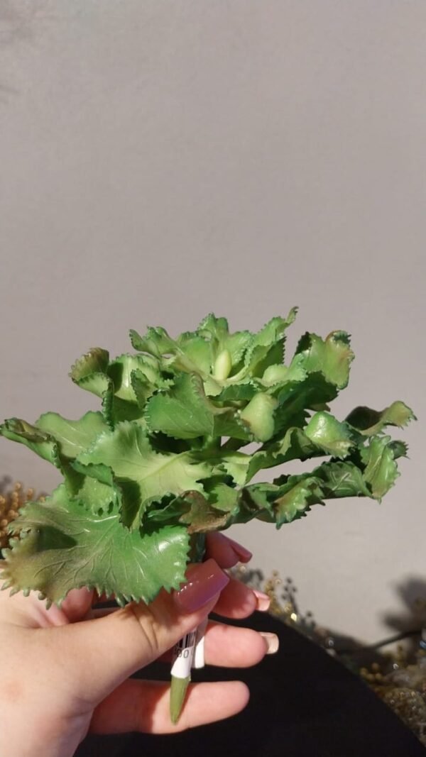 SUCULENTA MIX KAZA DECORE KD0093