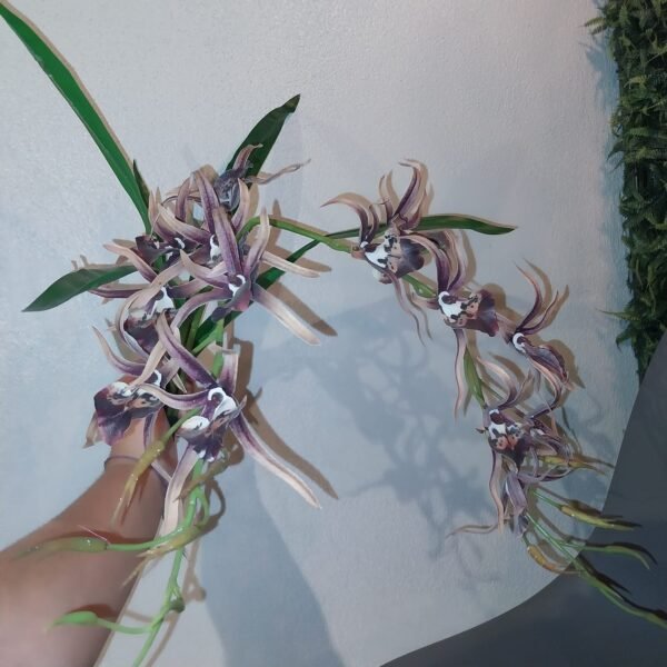 ORQUIDEA SPIDER MARROM GRANDE KAZA DECORE KD0521