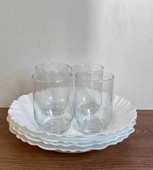 APARELHO DE JANTAR 08 PCS PETALA VIDRO NADIR