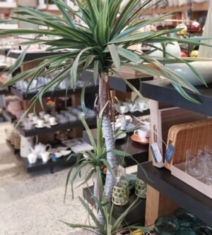 ARVORE DRACENA TROPICAL VERDE KAZA DECORE KD0095