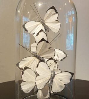CUPULA DE VIDRO COM BORBOLETAS 26X17,5X17,5CM BTC AD2005