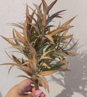 BUQUE CAPIM ENVELHECIDO MIX KAZA DECORE KD0959